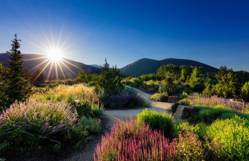 Sawtooth Botanical Garden, United States